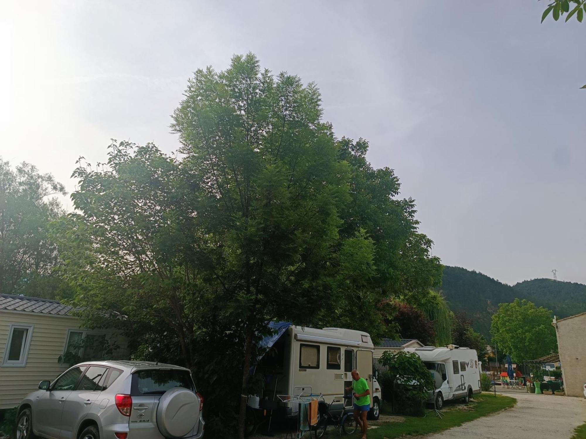 Camping Les Lavandes, Castellane Exterior foto
